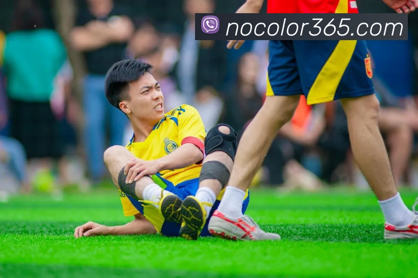 华体网sports平台生态图